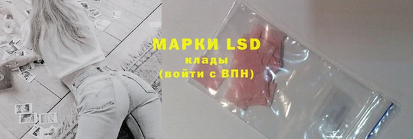 гашик Аркадак