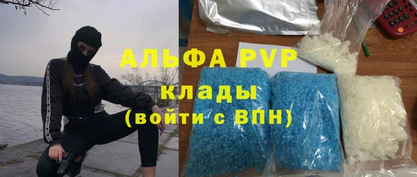 гашик Аркадак