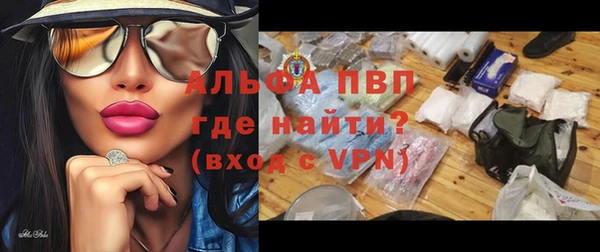 гашик Аркадак