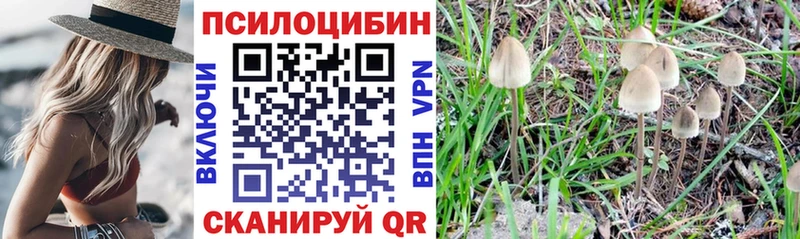 наркошоп  Чухлома  Псилоцибиновые грибы Cubensis 